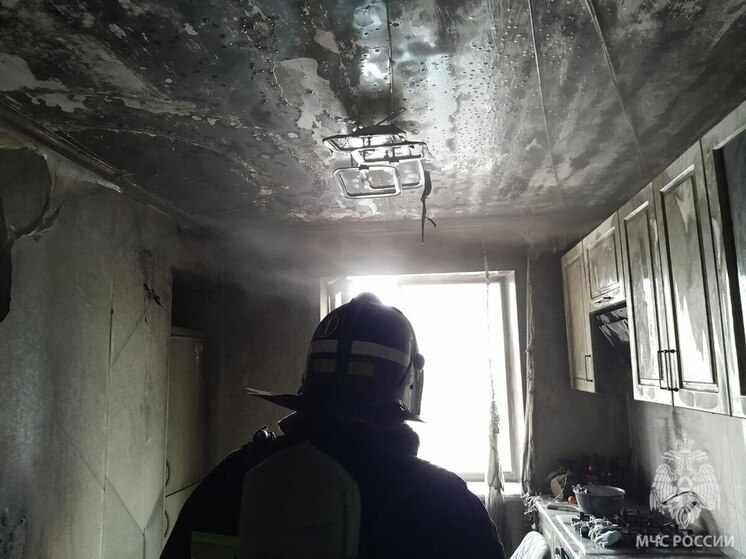 В херсонском поселке Новоалексеевка случился пожар в квартире