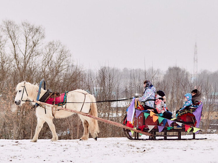 Тверьстат насчитал почти две тысячи лошадей в области