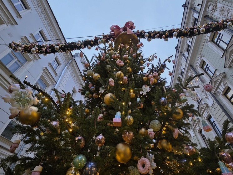 Публикация снимков роскошного застолья в социальных сетях может обернуться налоговой проверкой, предупредил финансовый аналитик Андрей Бархота