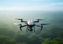 Искусственный интеллект плюс беспилотная авиасистема – эти две технологии были впервые использованы в России для оценки результатов лесовосстановления