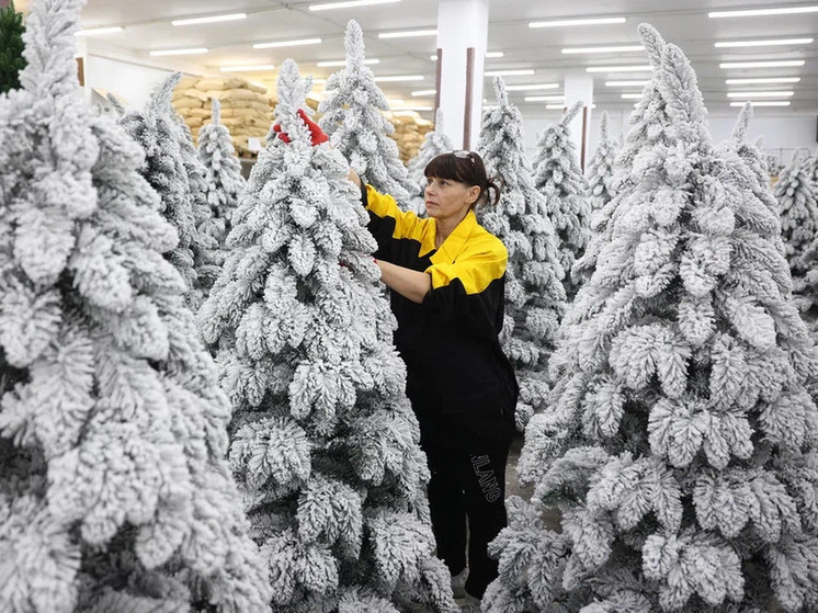 Губернатор: «В Краснодарском крае производят все главные атрибуты любимого многими праздника – Нового года»