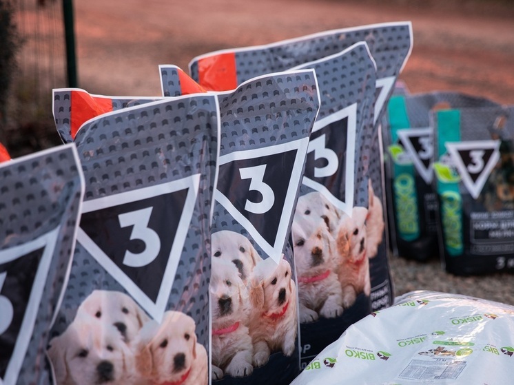 Федеральный телеканал поздравил приют «Краснодог» с Новым годом и передал более 370 кг корма для щенков