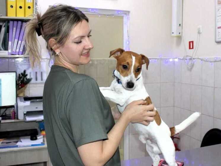 Донские госветлечебницы опубликовали график на новогодние праздничные выходные