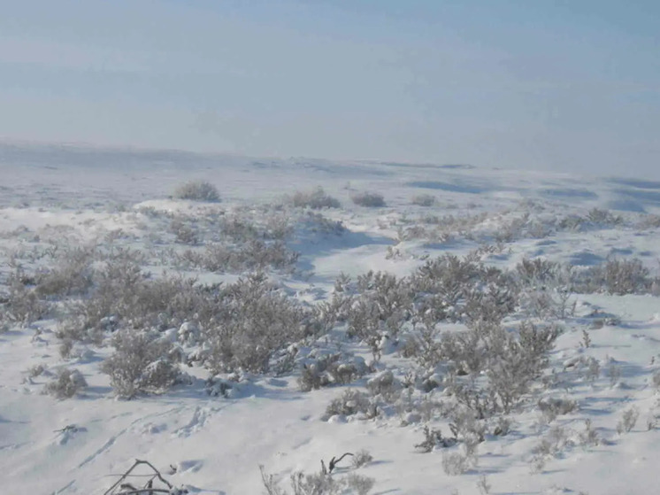 Завтра погода в Калмыкии расскажет об июле