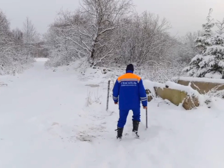Уровень воды в зоне подтопления в деревне Чегла снизился