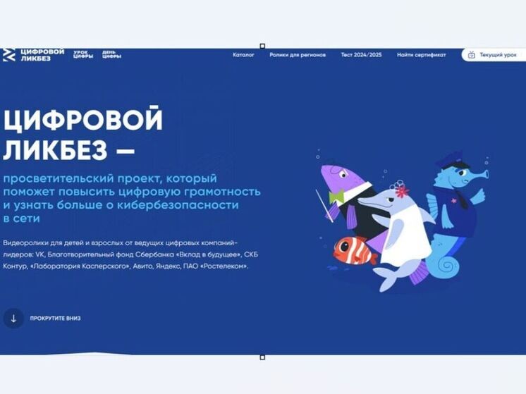 Костромских школьников научат бронировать жилье и помогать в интернете