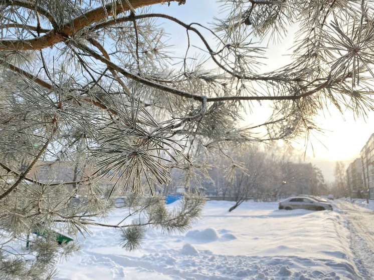 31 декабря в Рязанской области ожидаются снег и -10°С
