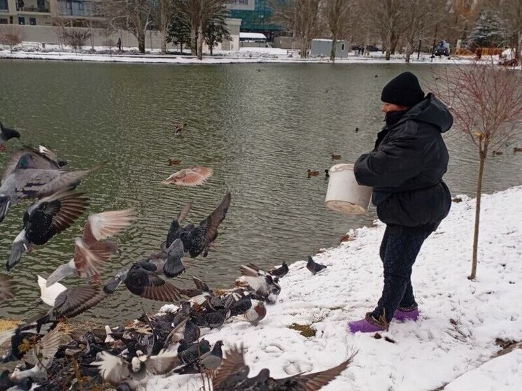 В симферопольском парке имени Гагарина зимой подкармливают уток и лебедей