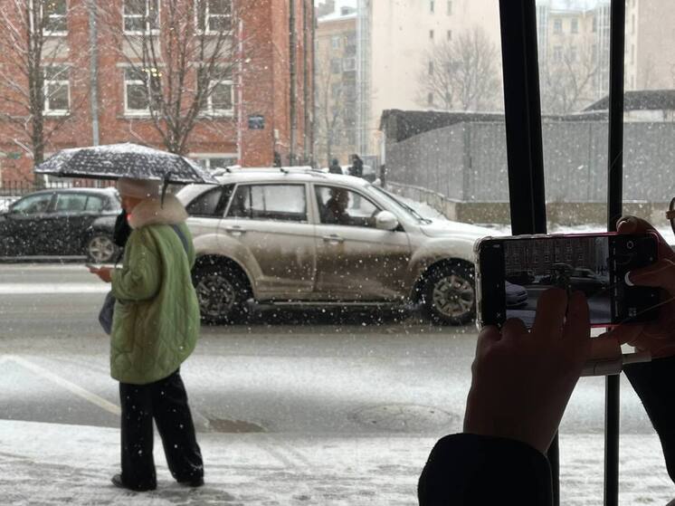 Погода подарит петербуржцам метель и штормовой ветер на Новый год