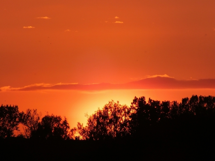 Крупнейший солнечно-аккумуляторный парк Северной Европы заработал в Дании