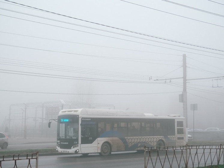 В Волгограде сезонный автобусный маршрут будет работать круглогодично
