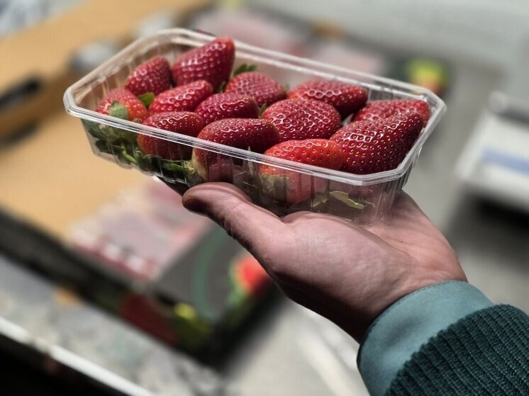 В Петербург к праздникам привезли первую африканскую клубничку