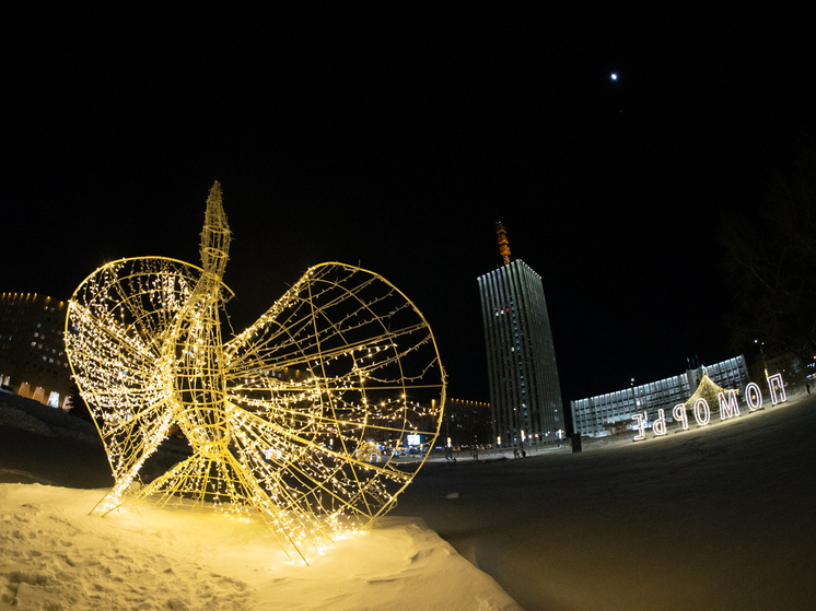Синоптики дали прогноз погоды на Новый год в Архангельской области