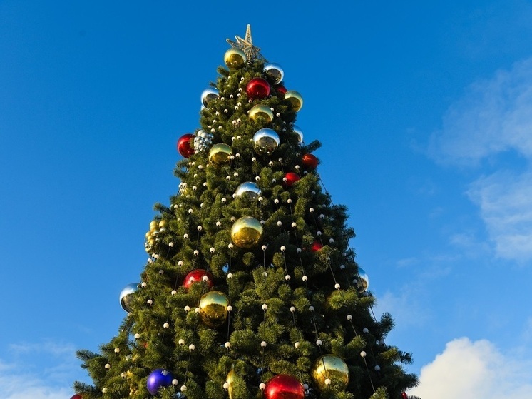 Андрей Бочаров поздравил волгоградцев с наступающими новогодними праздниками