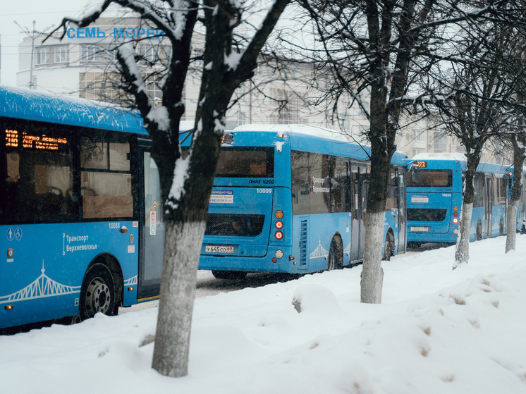 Автобусы в Твери будут ходить дольше в новогоднюю ночь