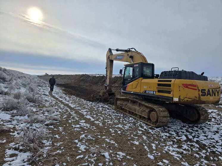 Проект для сайгаков Калмыкии набирает обороты