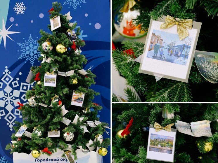 Жители Хабаровского края выбрали лучшую новогоднюю елку