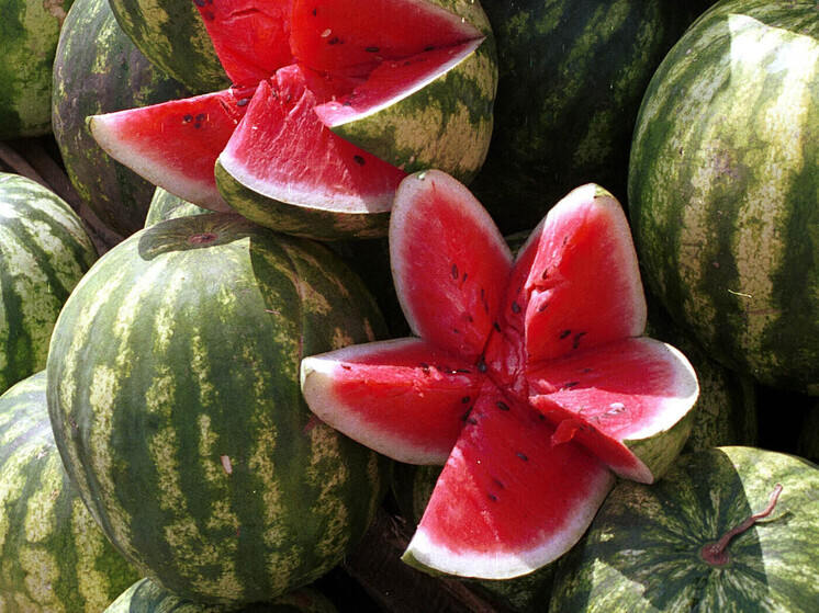 Во время безобидного (на первый взгляд) развлекательного конкурса по поеданию арбуза на скорость в бразильском отеле произошла трагедия: отец четверых детей Карлуш Серасомма подавился и задохнулся на глазах у жены и других отдыхающих