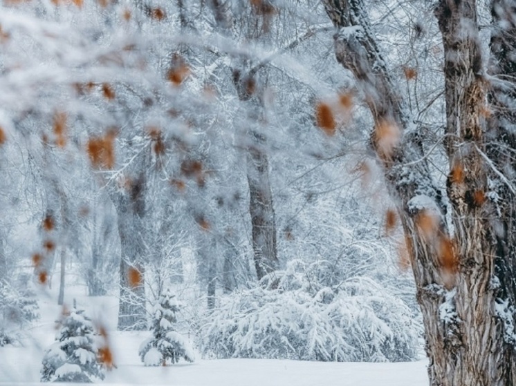 В Волгоградской области прогнозируют аномально снежный январь