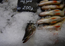 Представители сразу трех парламентских фракции внесли в Госдуму законопроект о том, чтобы стандартизировать ценники для весовых продуктов в розничной торговле