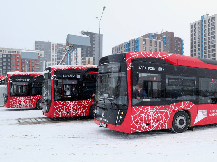 Минтранс Прикамья напоминает о временном сокращении числа рейсов на пригородных маршрутах