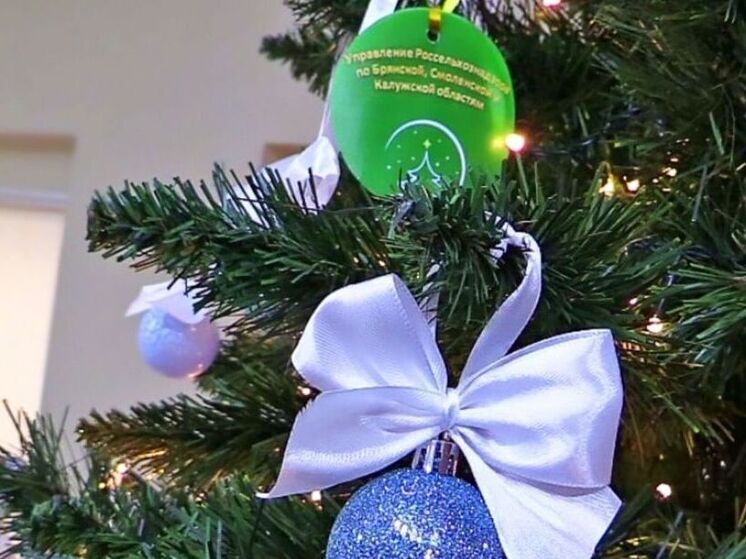 Сотрудники Россельхознадзора исполнили мечты детей из Брянской области