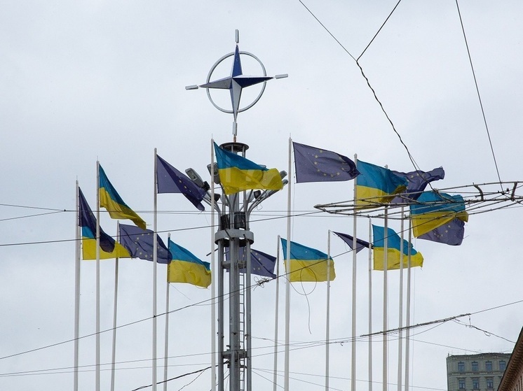 Йованович: готовить атаку на резиденцию Путина помогали сторонники конфликта с РФ в Европе