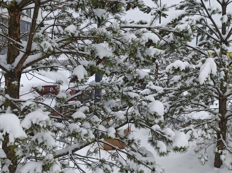 Ивановские синоптики озвучили прогноз погоды на новогоднюю ночь