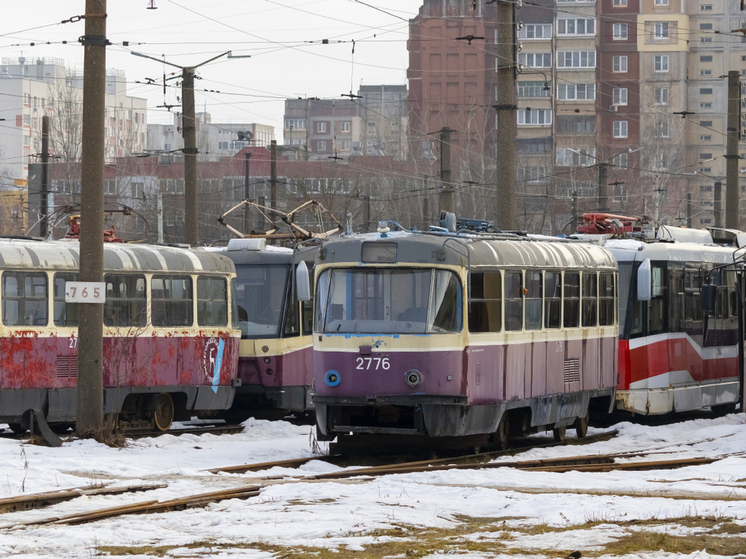 Автобус вместо трамваев № 3 и 21 запустят в Нижнем с нового года