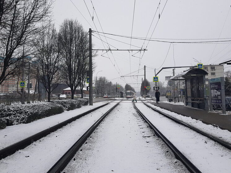 Стало известно, по каким маршрутам будет ездить общественный транспорт в новогоднюю ночь