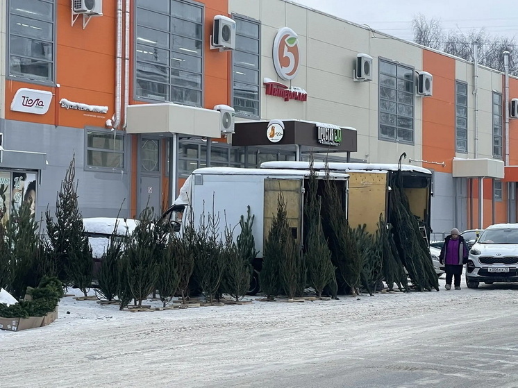 В Йошкар-Оле нашли пять нарушений продажи пиротехники и елок