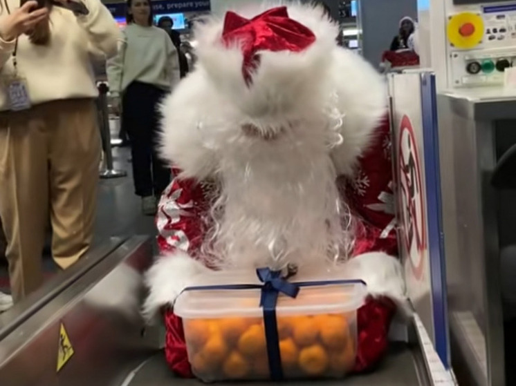 Новый год прилетел в Пулково с тонной мандаринов