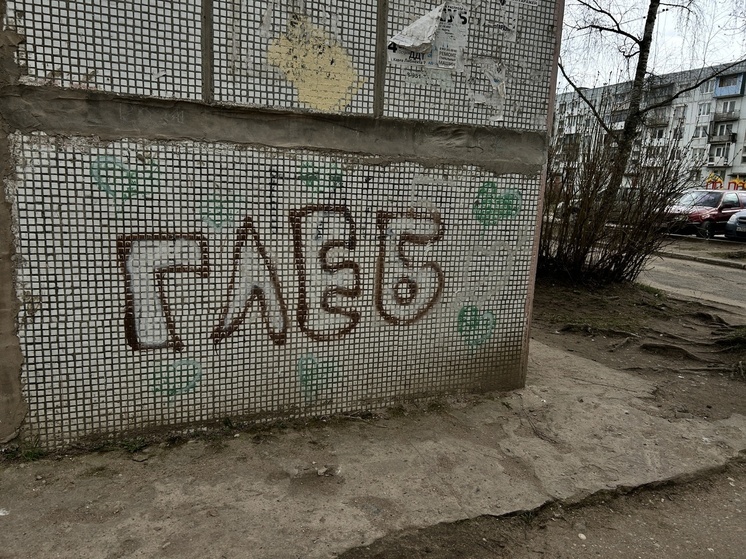 Творческий хулиган в возрасте попался в руки калининградской полиции