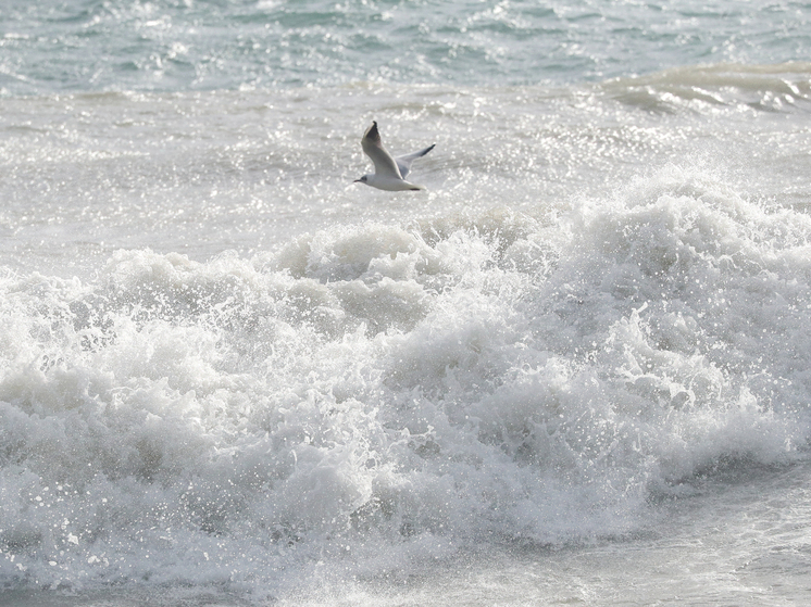 Kub Mash: в Сочи разрушена набережная из-за шторма
