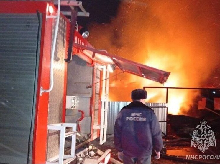 В смертельном пожаре в Ивановской области нашелся выживший