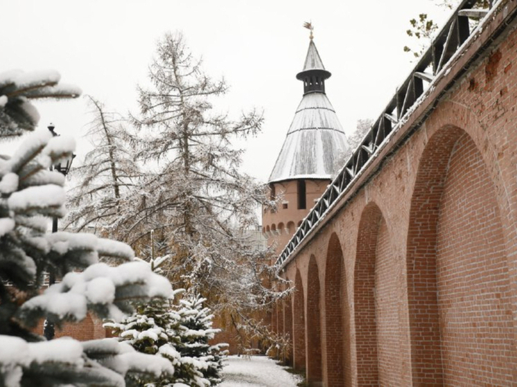 Опубликован график работы Тульского кремля в январские праздники