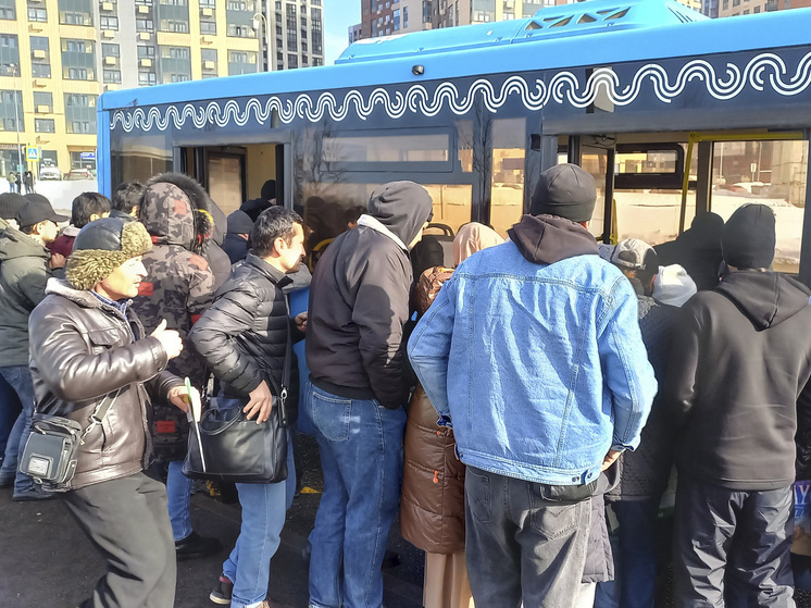 МВД зафиксировало, что 75% детей иностранцев в России не учатся в школе