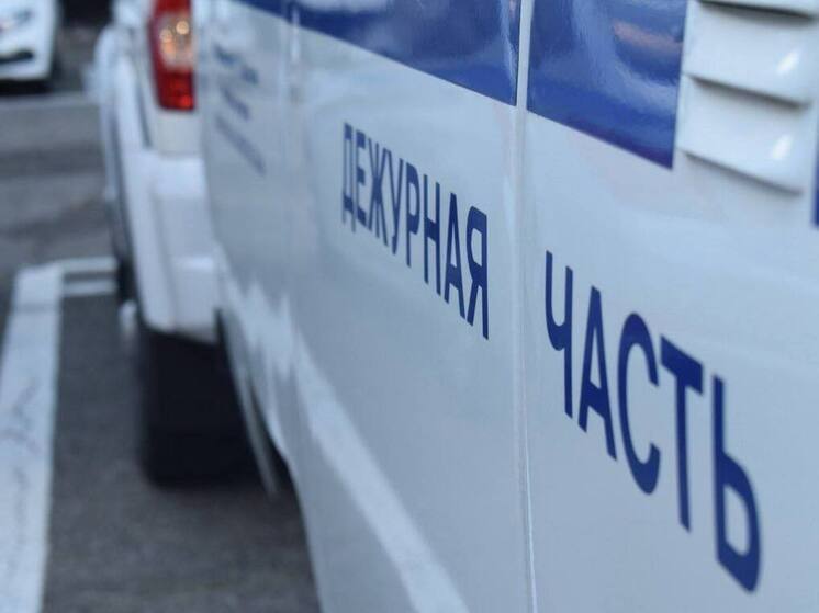 В Запорожской области раскрыли угон автомобиля