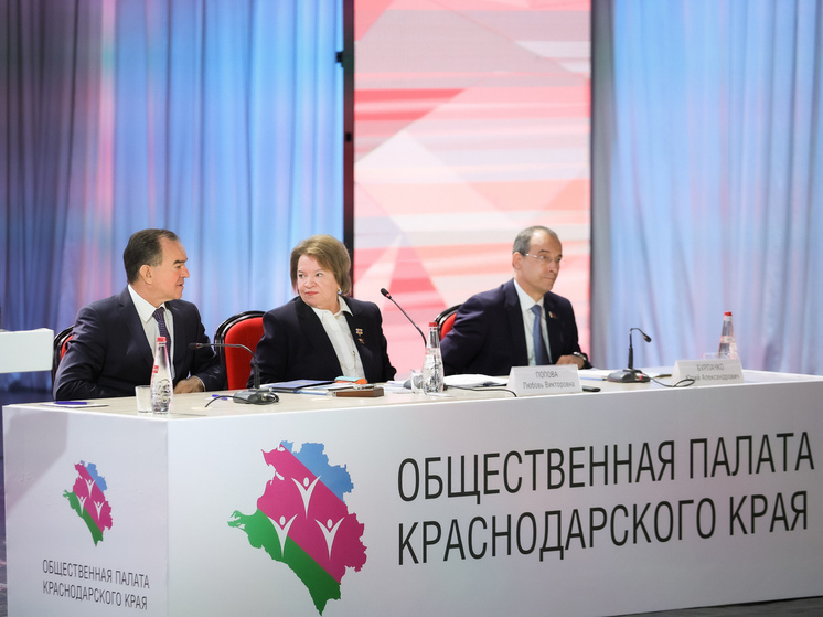 Какие направления деятельности продолжит Общественная палата Кубани в 2026 году