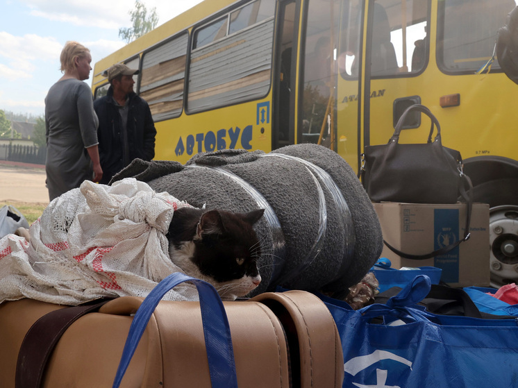 Власти Украины впервые объявили обязательную эвакуацию в Черниговской области