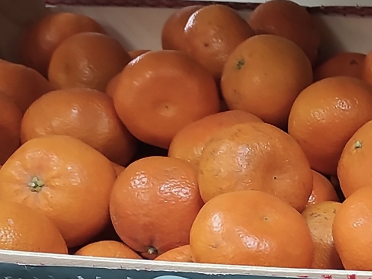 Блестящая кожура и зеленые листья не гарантируют качество мандаринов