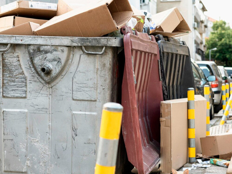 Липецкая область усиливает вывоз мусора в новогодние выходные