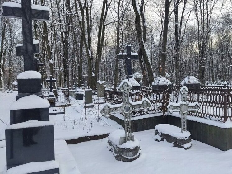 На борьбу с грызунами на кладбищах Петербурга заложили 7,4 млн рублей, но удалось сэкономить