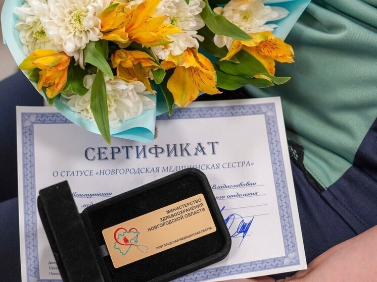 В Минздраве наградили лучших медсестер и медбратьев Новгородчины