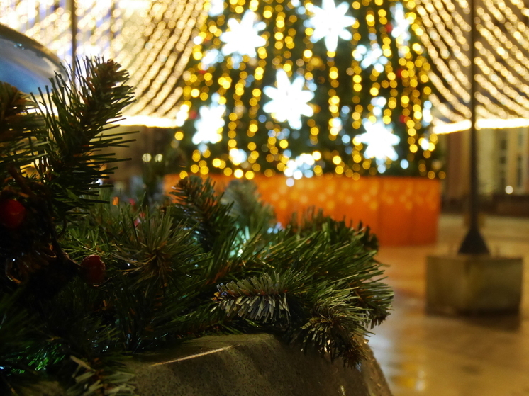 Лучший новогодний двор выберут в Вологде