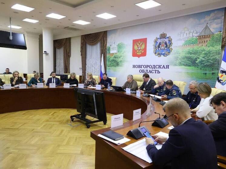 В Новгородчине ввели режим повышенной готовности из-за отсутствия электричества