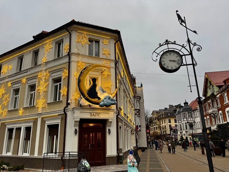 У жителей Зеленоградска будет один день для свадьбы на новогодних