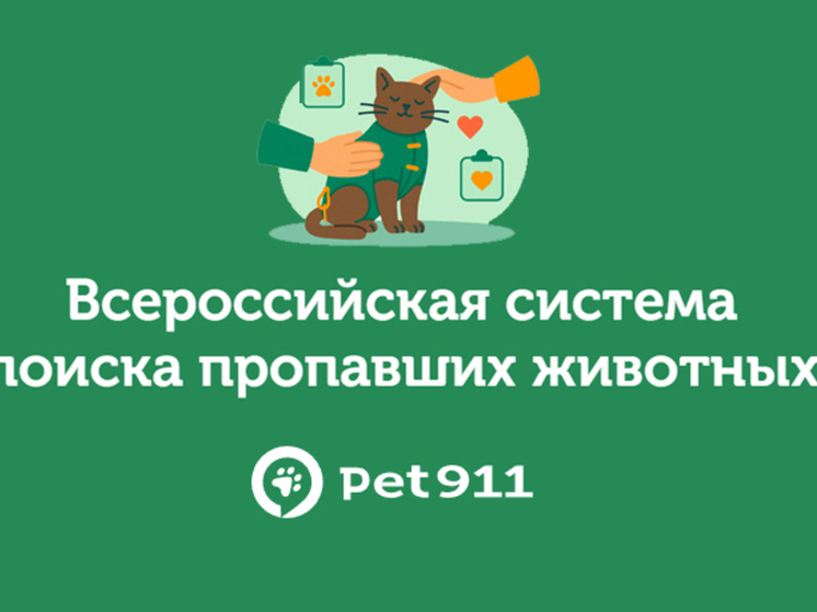 Осторожно, салюты! Как защитить питомца в Новый год советы тамбовским хозяевам