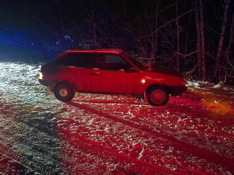 Под Орлом водитель сбил пешехода, освещавшего дорогу телефоном