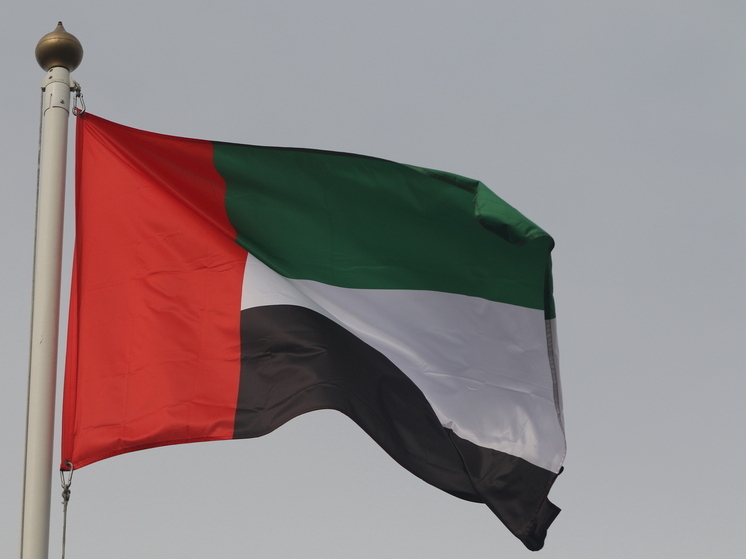 ОАЭ заявили о прекращении деятельности антитеррористических сил в Йемене